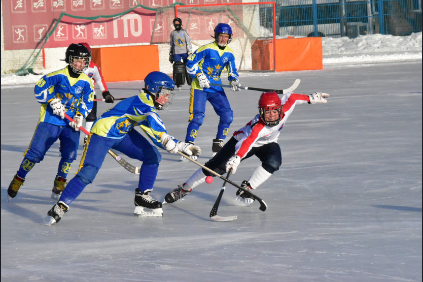 Хоккей с мячом Енисей 2009 год